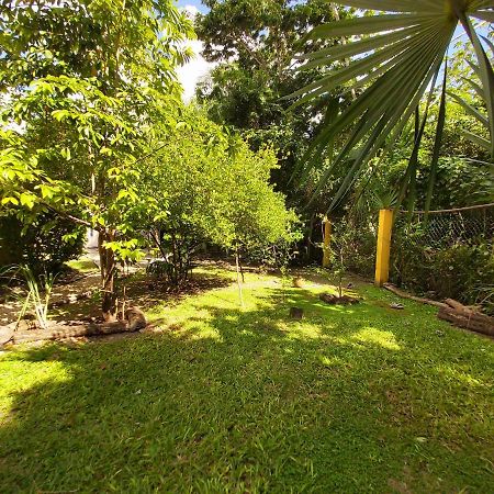 Villa Mini Pini Bird Watching And Cenote Loft Cozumel Exterior foto