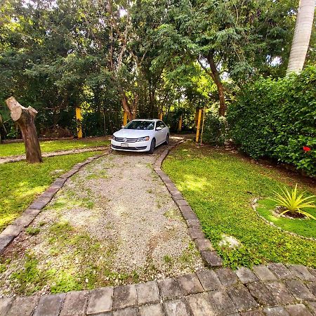 Villa Mini Pini Bird Watching And Cenote Loft Cozumel Exterior foto